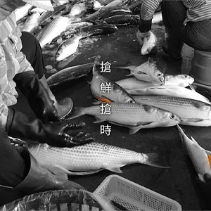 双盛烏魚子_搶鮮搶時
