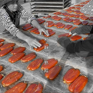 双盛烏魚子_光鹽調和靜候熟成