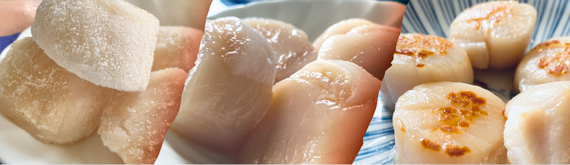 日本生食級干貝
